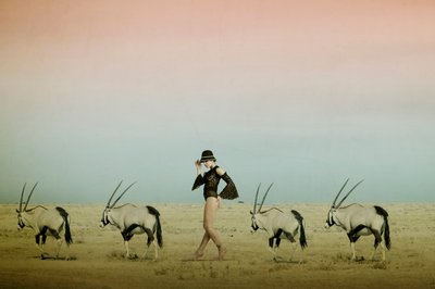  作： Christine von Diepenbroek