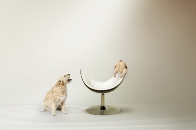 犬のチキンに関するジレンマ 作： Christine von Diepenbroek