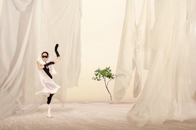  作： Christine von Diepenbroek