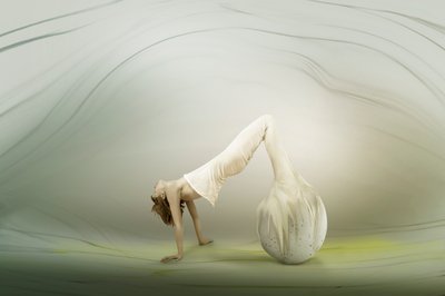 優美な有機的なフォルム 作： Christine von Diepenbroek