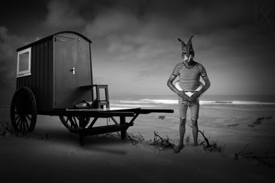 孤独なウサギ、ビーチで水浴び 作： Christine von Diepenbroek