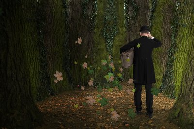 男の森の旅 作： Christine von Diepenbroek