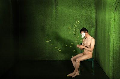 緑の仮面の男 作： Christine von Diepenbroek