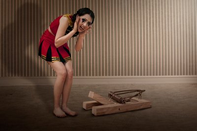  作： Christine von Diepenbroek