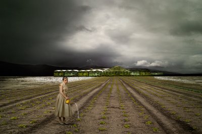 孤独な庭師 ストーミー・フィールド 作： Christine von Diepenbroek