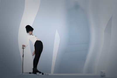 スタイリッシュなガードポーズ 作： Christine von Diepenbroek
