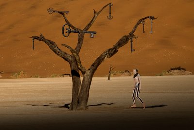  作： Christine von Diepenbroek