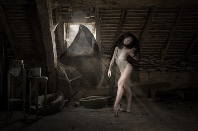  作： Christine von Diepenbroek