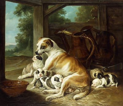 子犬を持つ母親、1734 作： Christophe Huet