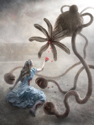 不気味なワンダーランド 作： Christophe Kiciak