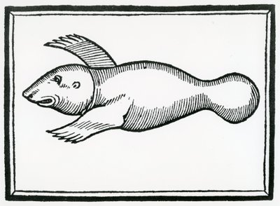 「インディーズの一般史」から「マナティ」と呼ばれる魚1547 作： Christopher Columbus