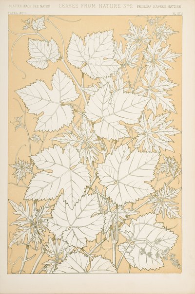 自然からの葉、1868（chromolitho） 作： Christopher Dresser