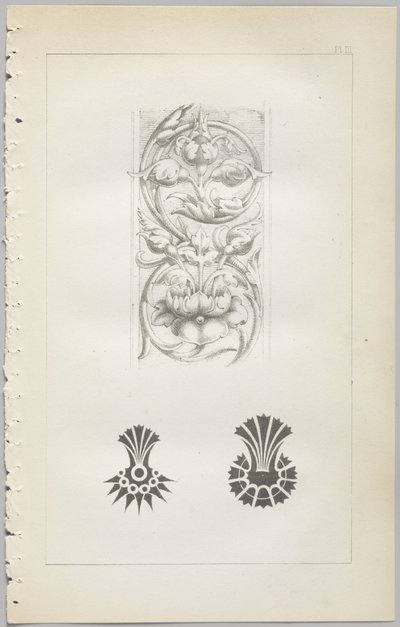 装飾デザインの芸術：付録付き、花が開く日の時間を示す、Day＆Son、ロンドン、1862年発行 作： Christopher Dresser