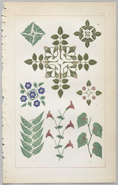 装飾デザインの芸術：付録付き、花が開く日の時間を示す、Day＆Son、ロンドン、1862年発行 作： Christopher Dresser