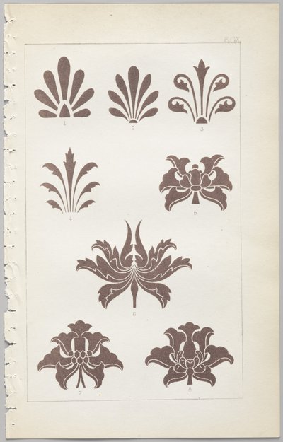 装飾デザインの芸術：付録付き、花が開く日の時間を示す、Day＆Son、ロンドン、1862年発行 作： Christopher Dresser