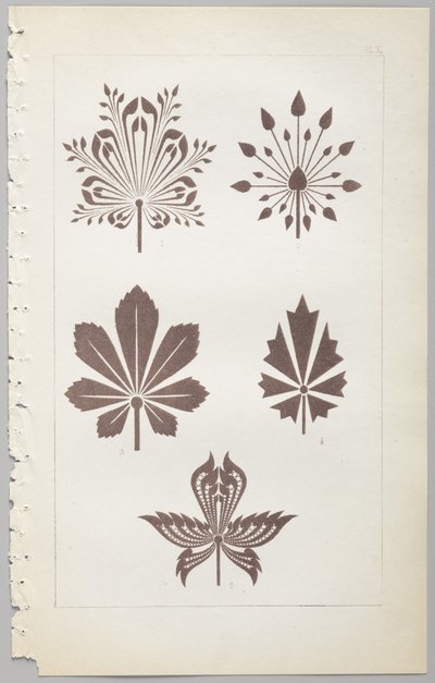 装飾デザインの芸術：付録付き、花が開く日の時間を示す、Day＆Son、ロンドン、1862年発行 作： Christopher Dresser