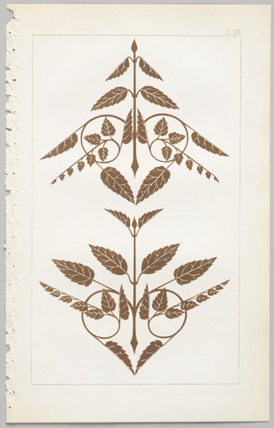装飾デザインの芸術：付録付き、花が開く日の時間を示す、Day＆Son、ロンドン、1862年発行 作： Christopher Dresser