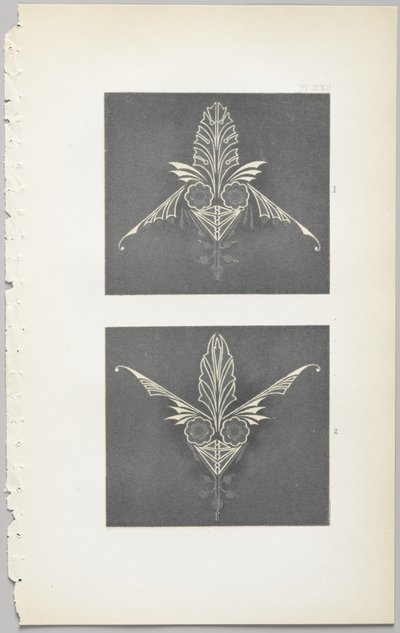 装飾デザインの芸術：付録付き、花が開く日の時間を示す、Day＆Son、ロンドン、1862年発行 作： Christopher Dresser