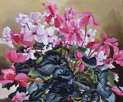 シクラメン, 2004 (水彩・紙) 作： Christopher Ryland
