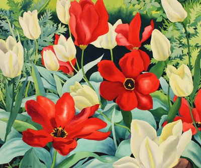 初期のチューリップ（紙に水彩） 作： Christopher Ryland
