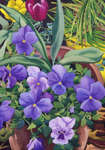 パンジーと植木鉢、2007（紙にトイレ） 作： Christopher Ryland