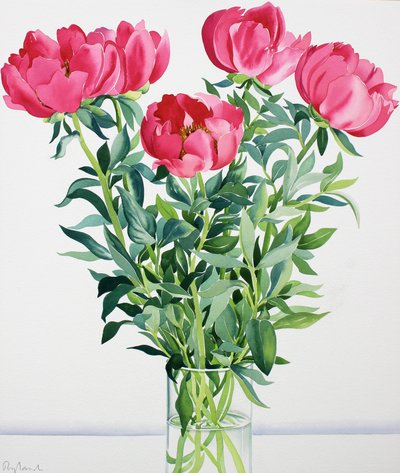 牡丹（紙に水彩） 作： Christopher Ryland