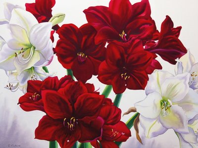赤と白のアマリリス、2008年（紙にトイレ） 作： Christopher Ryland
