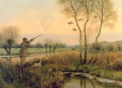 ダックシューティング 作： Christopher William Strange