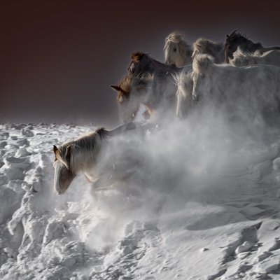 疾走する雪の馬たち 作： Chuanxu Ren