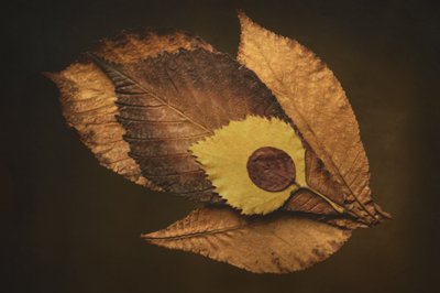  作： 
