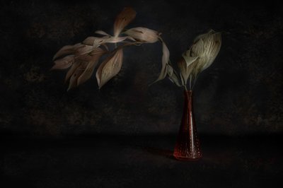  作： 