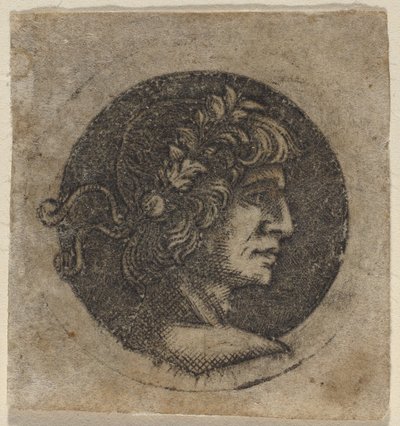 ローマ皇帝の頭 作： Circle of Francesco Francia