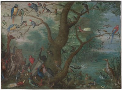 鳥のコンサート 作： Circle of Jan van Kessel the Elder