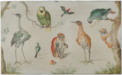 鳥とサルの研究 作： Circle of Jan van Kessel the Elder
