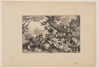 樹木とメロン、風景より（Verscheyden aerdige Lanthuysen...） 作： Claes Jansz. Visscher