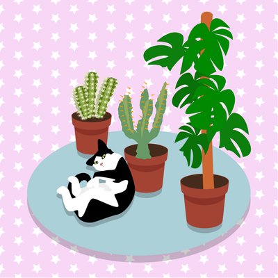 猫とサボテン 作： Claire Huntley