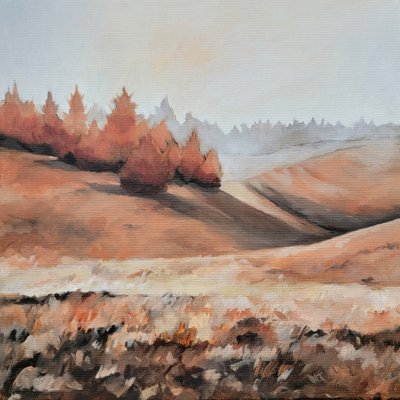  作： Claire Whitehead
