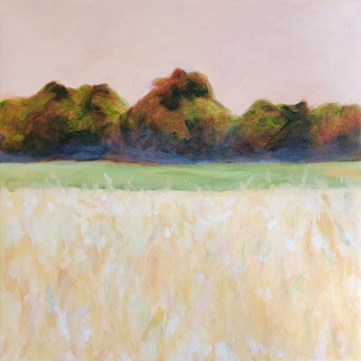  作： Claire Whitehead