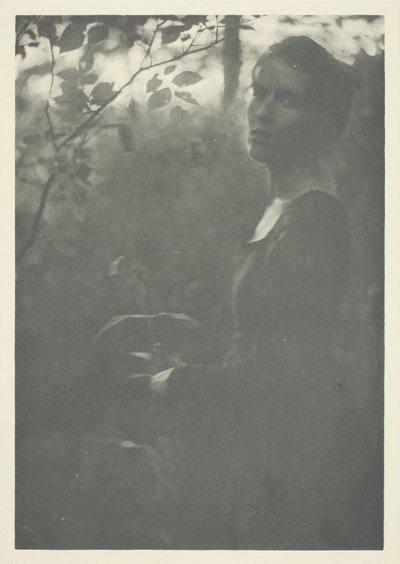 ウッズの端 作： Clarence H. White
