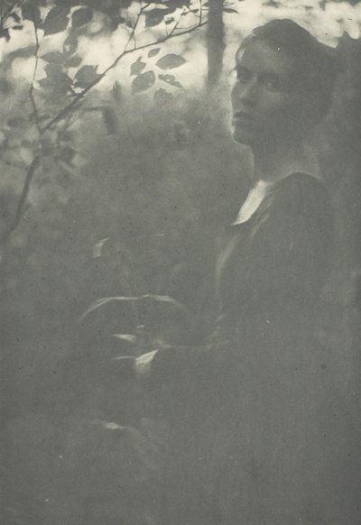 ウッズの端、c。 1899年。 作： Clarence H White