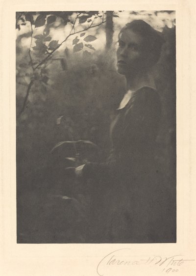 森の端、夕方 作： Clarence H. White