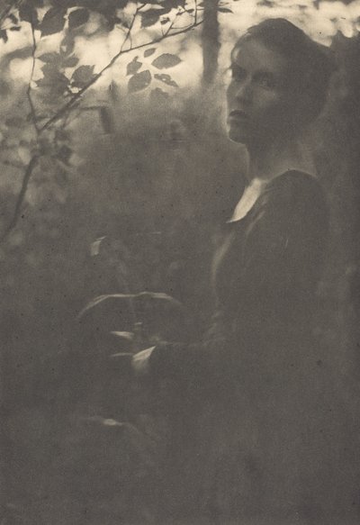森の端、夕方、1900年。 作： Clarence H White
