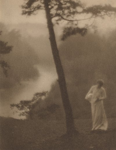 朝、1905年頃。 作： Clarence H White