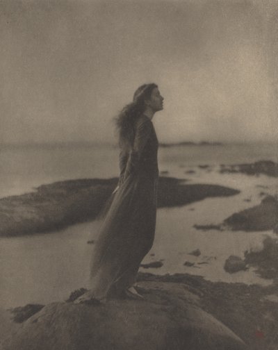 ローズ パスター ストークス 作： Clarence H. White