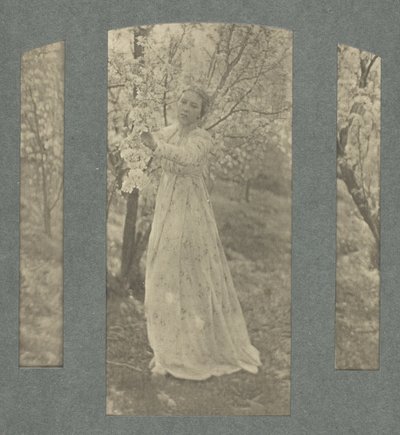 春 作： Clarence H. White