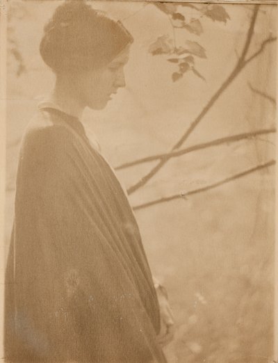 日光 作： Clarence H. White