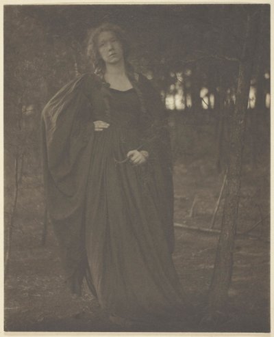 無題 [森の中の女]、190105。 作： Clarence H White