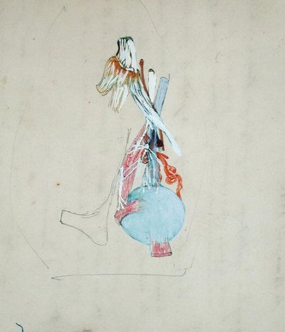 猫の頭の中の神経系 1842年5月25日（鉛筆・水彩・紙） 作： Claude Bernard