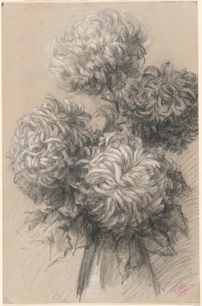 菊 作： Claude Emile Schuffenecker