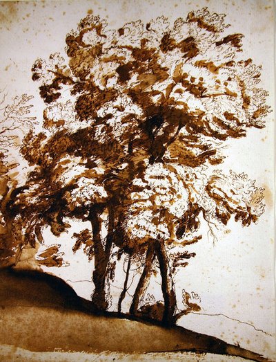日光に照らされた木々の群れ（紙にペン、インク、ウォッシュ） 作： Claude Lorrain
